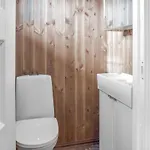 In With Sauna * Sjusjoen
